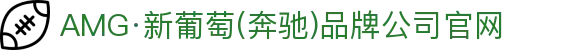 AMG·新葡萄(奔驰)品牌公司-Official website
